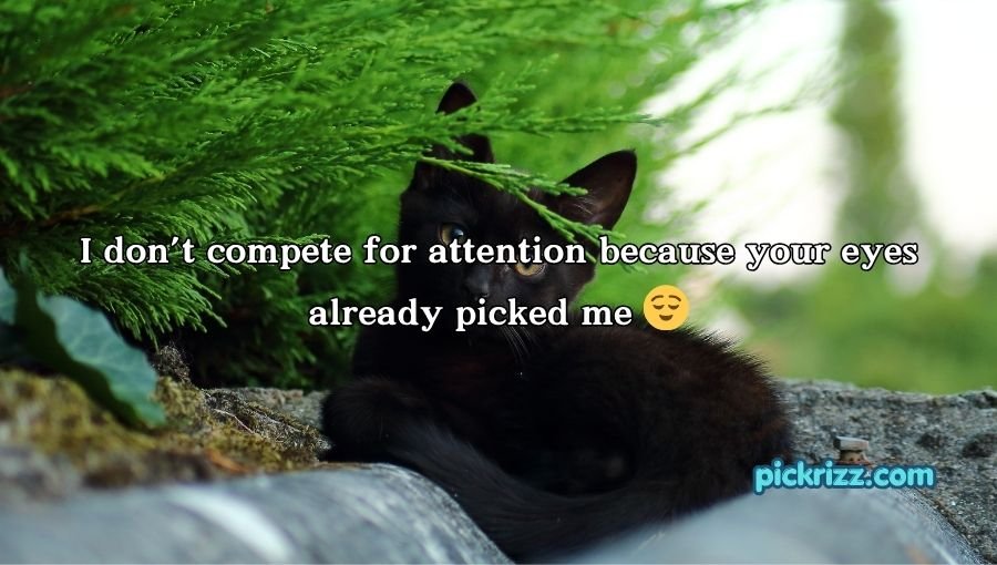 Black Pick Up Lines