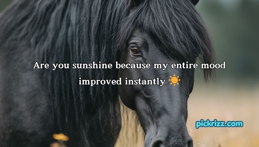 Black Pick Up Lines