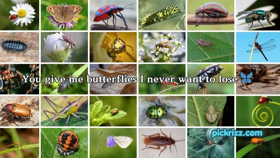 bug pick up lines