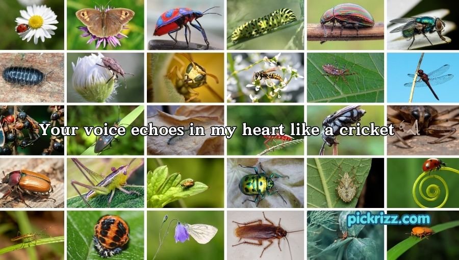 bug pick up lines