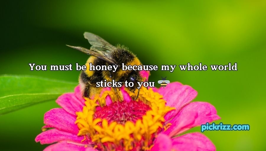 Bumblebee Pick Up Lines