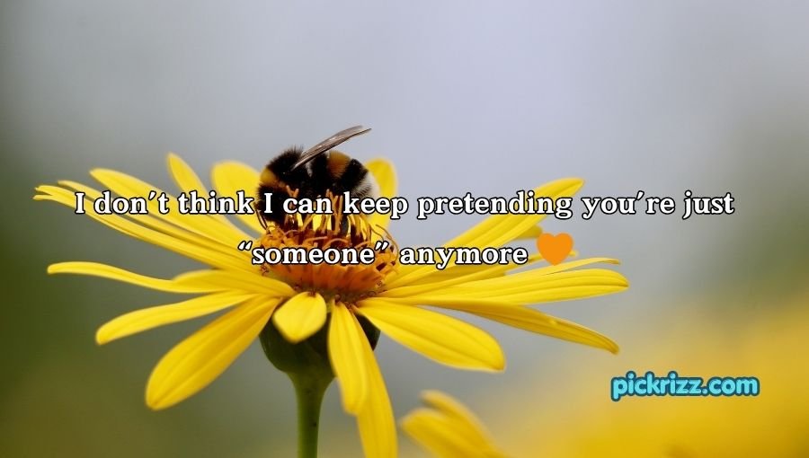 Bumblebee Pick Up Lines