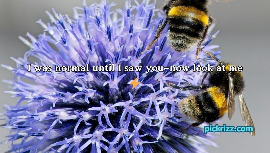 Bumblebee Pick Up Lines