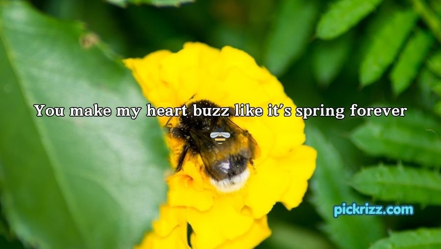 Bumblebee Pick Up Lines