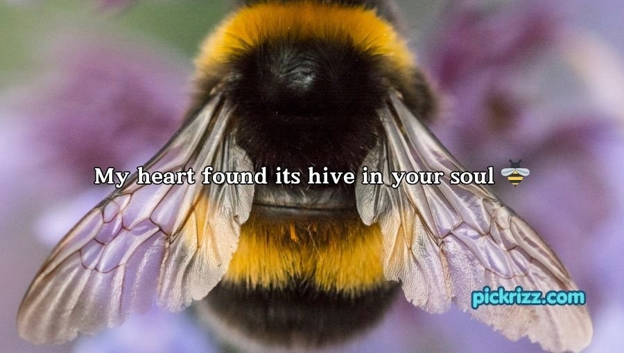 Bumblebee Pick Up Lines