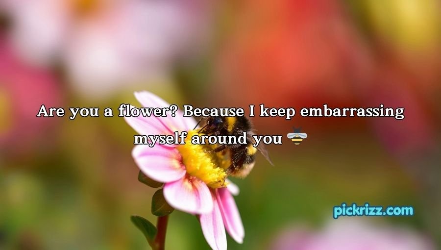 Bumblebee Pick Up Lines