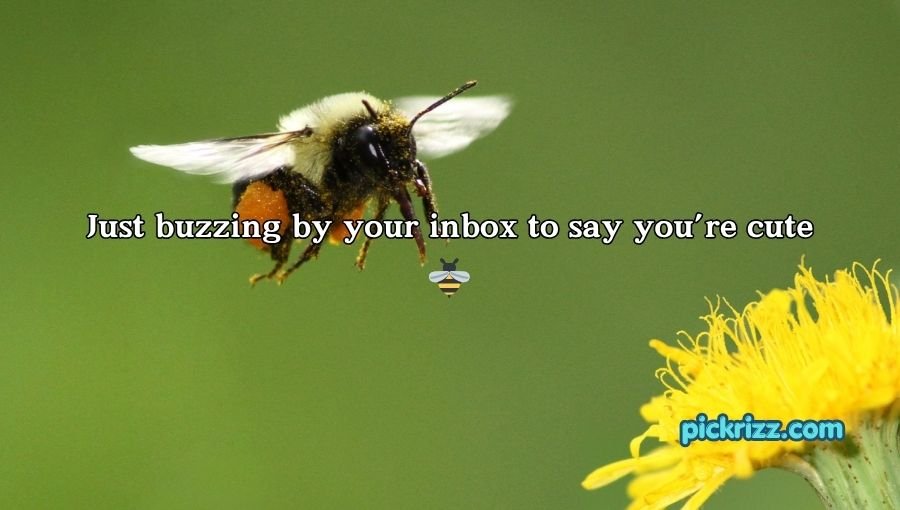 Bumblebee Pick Up Lines