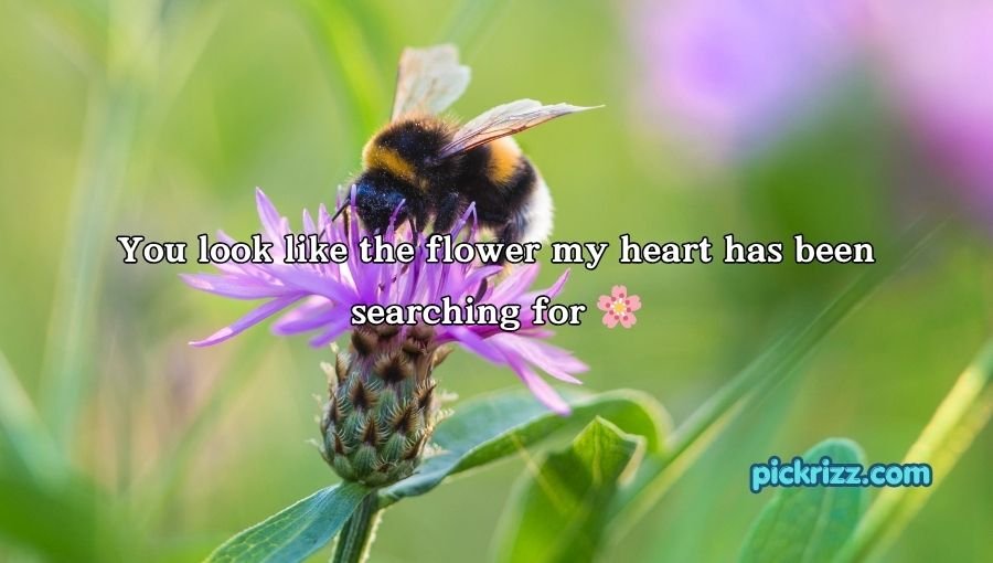 Bumblebee Pick Up Lines
