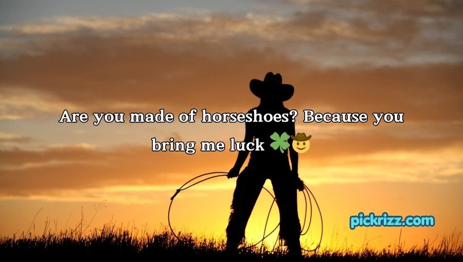 Cowgirl Pick Up Lines