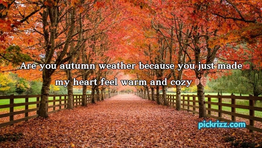 Fall Pick Up Lines