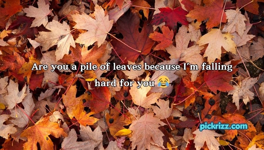 Fall Pick Up Lines