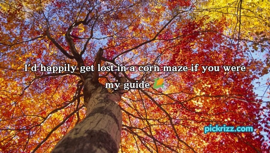 Fall Pick Up Lines