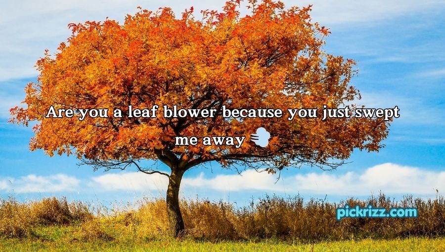 Fall Pick Up Lines