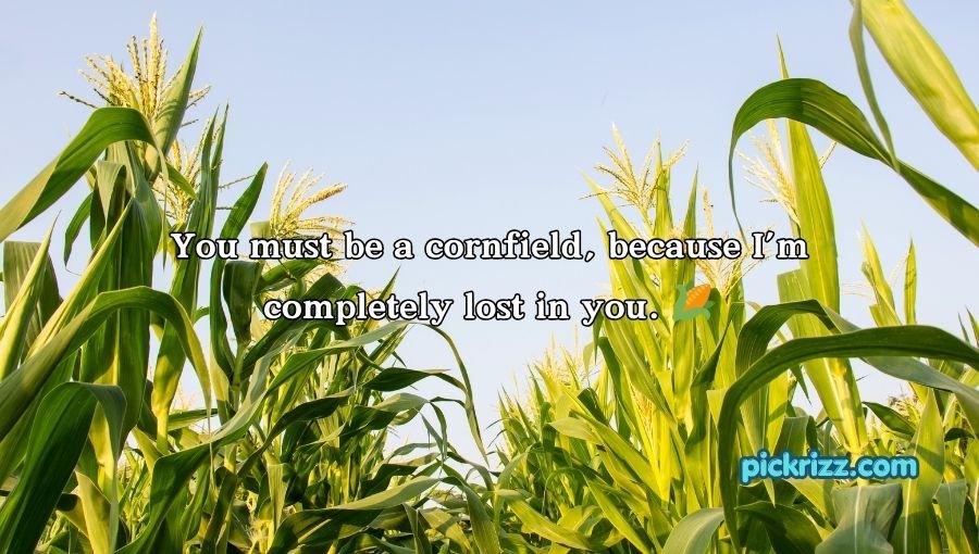 Farming Pick Up Lines