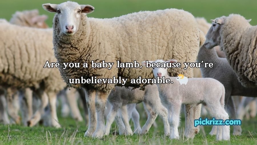 Farming Pick Up Lines