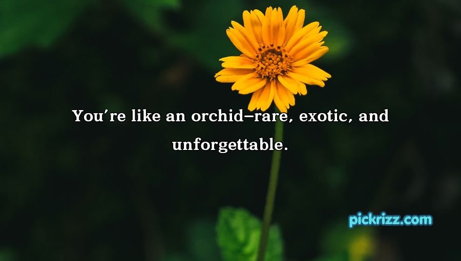 Flower Pick Up Lines