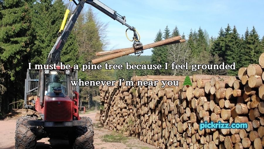 Forestry Pick Up Lines