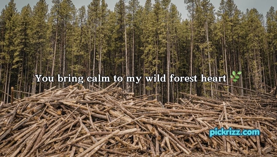 Forestry Pick Up Lines