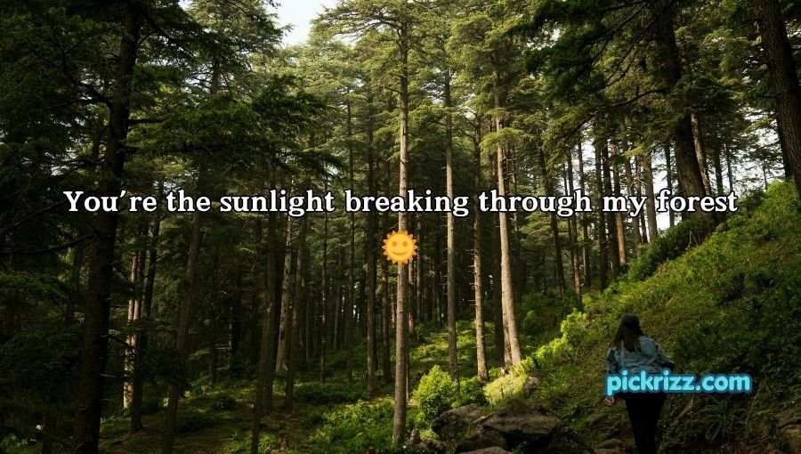 Forestry Pick Up Lines