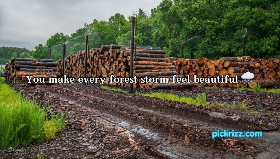 Forestry Pick Up Lines