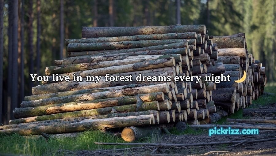 Forestry Pick Up Lines
