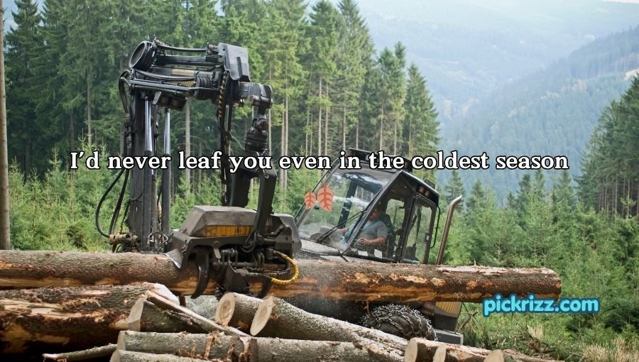 Forestry Pick Up Lines