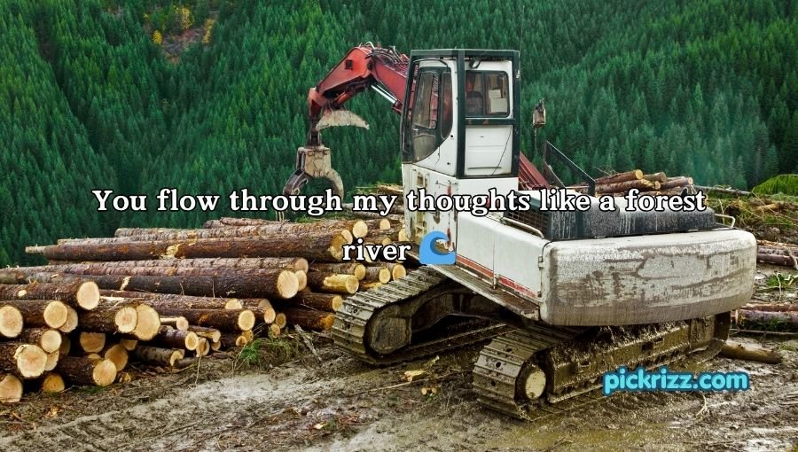 Forestry Pick Up Lines
