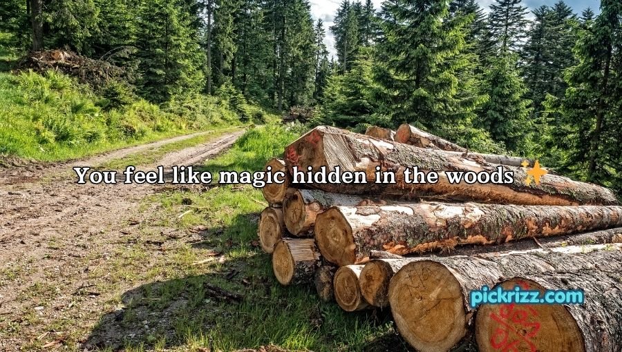Forestry Pick Up Lines