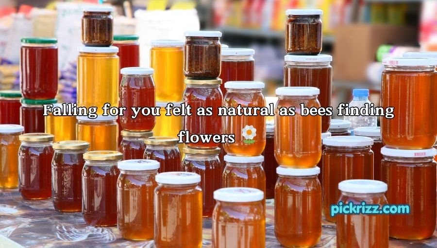 Honey Pick Up Lines