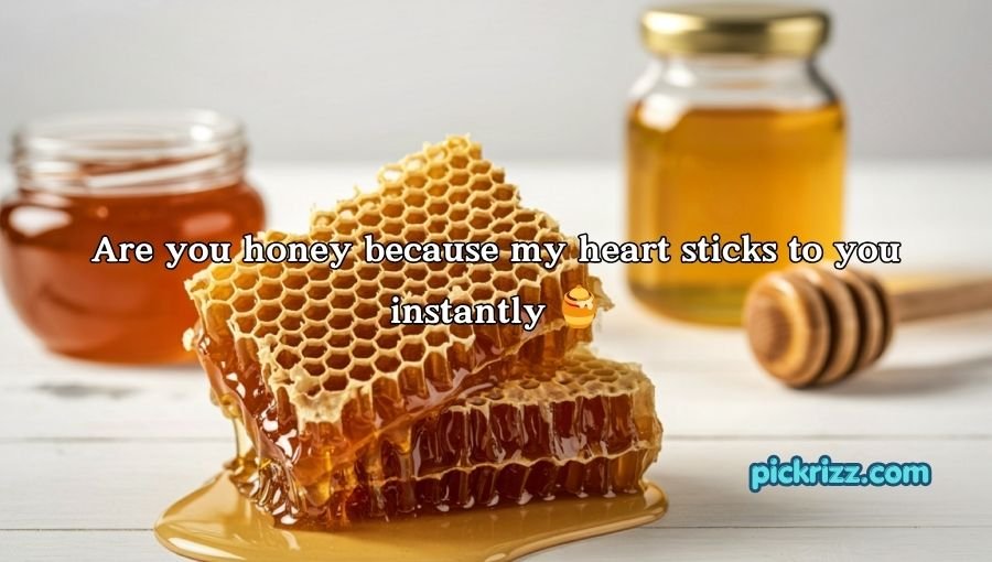Honey Pick Up Lines