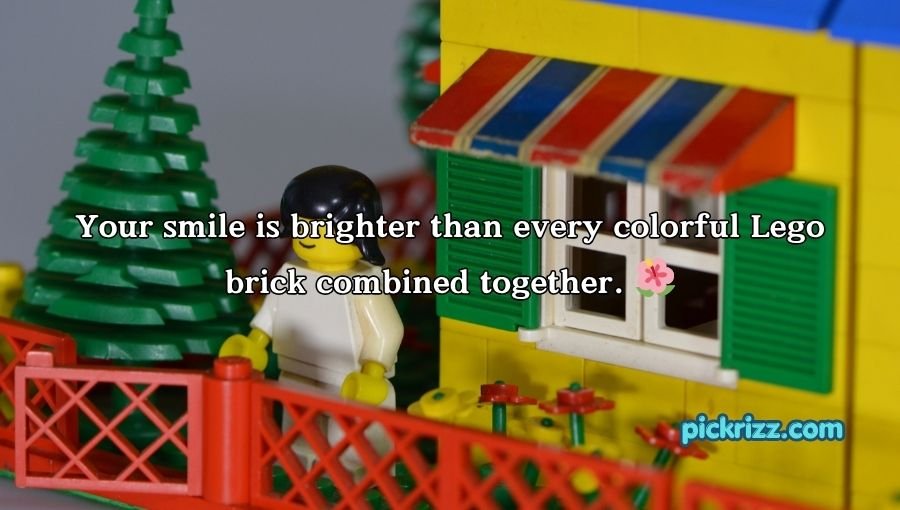 Lego Pick Up Lines