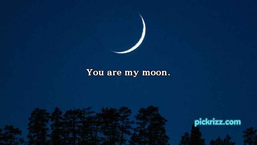 Moon Pick Up Lines