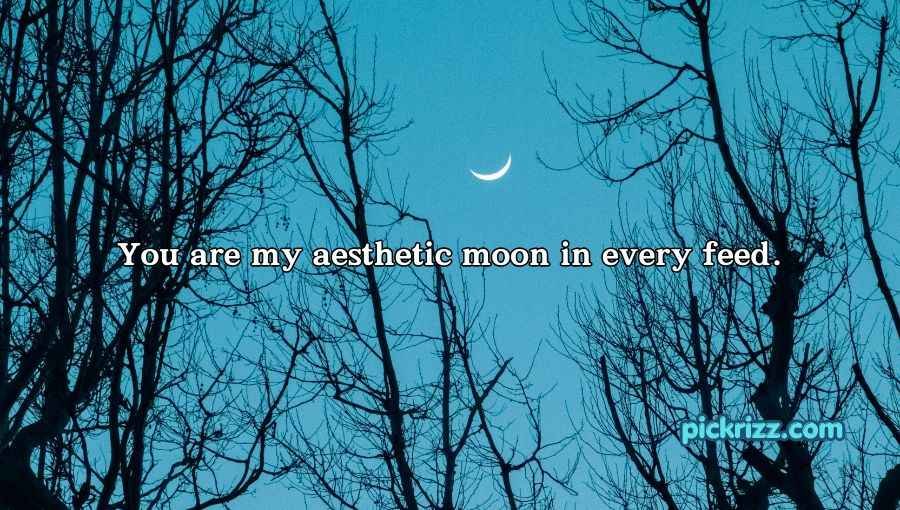 Moon Pick Up Lines
