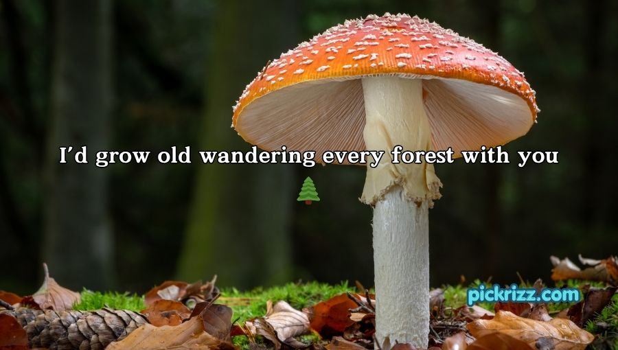 Mushroom Pick-Up Lines