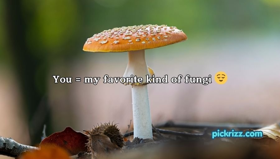 Mushroom Pick-Up Lines