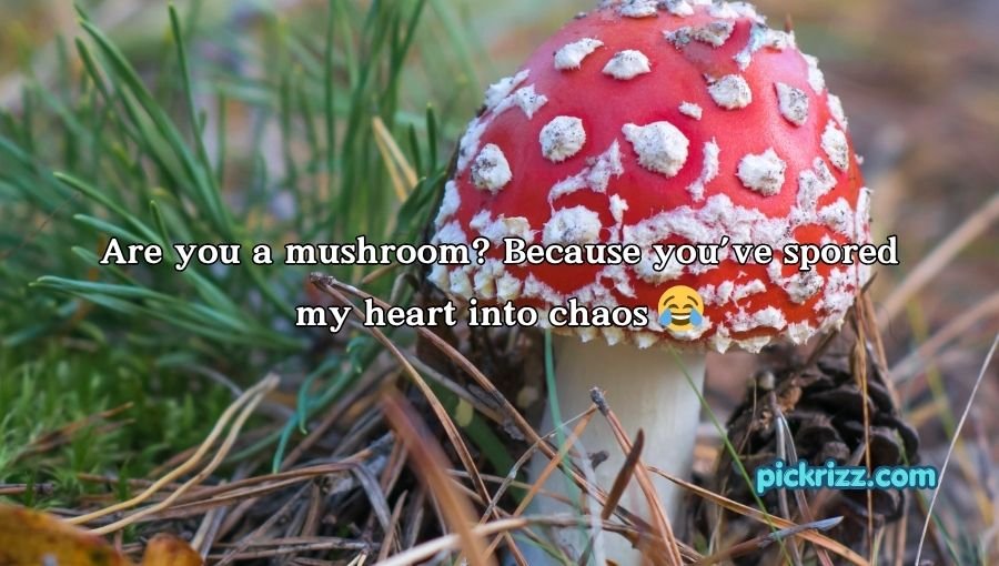 Mushroom Pick-Up Lines