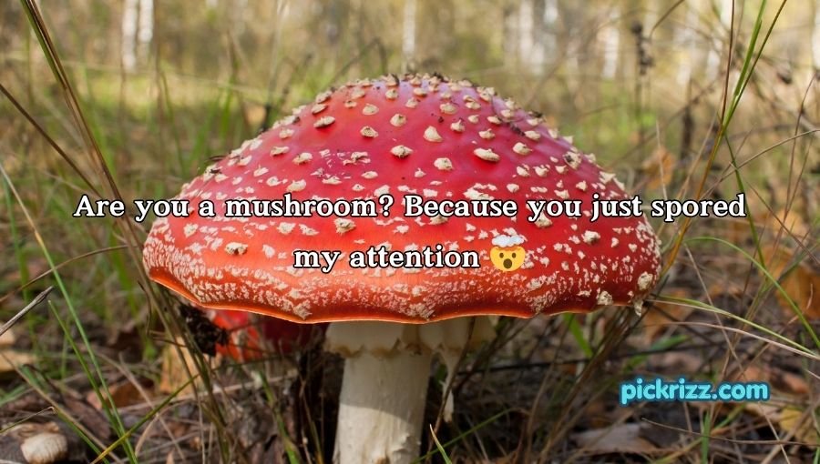 Mushroom Pick-Up Lines