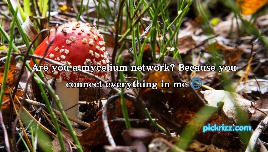 Mushroom Pick-Up Lines