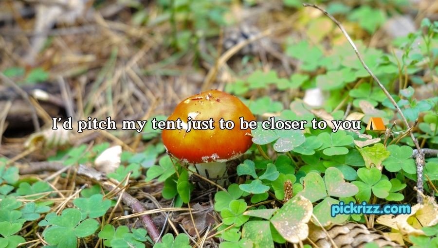 Mushroom Pick-Up Lines