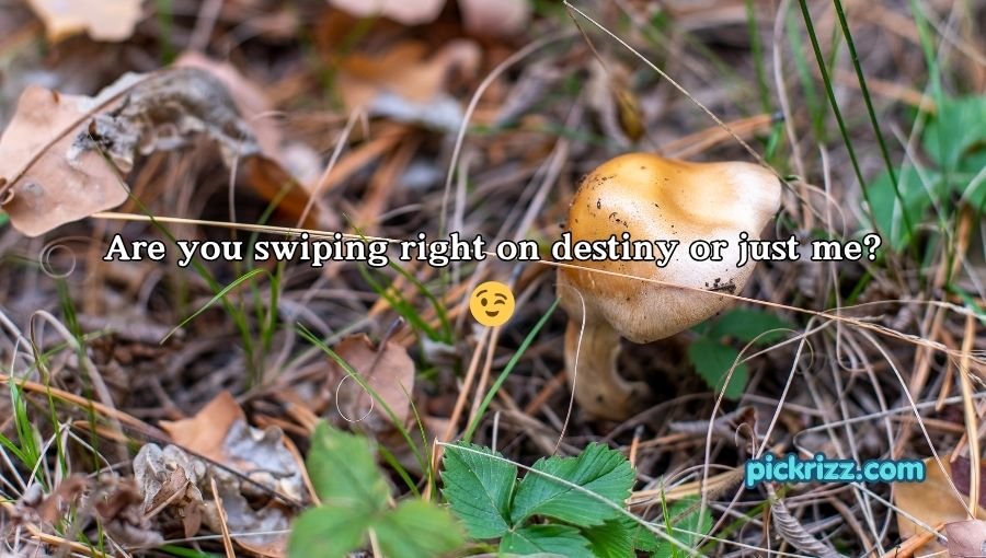 Mushroom Pick-Up Lines