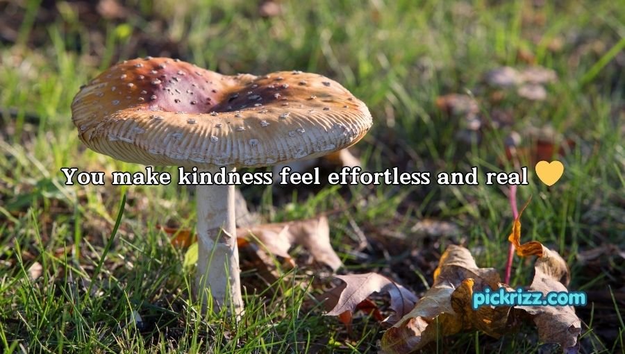 Mushroom Pick-Up Lines