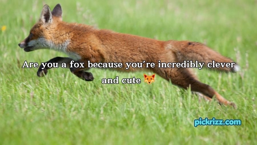 Nature Pick Up Lines