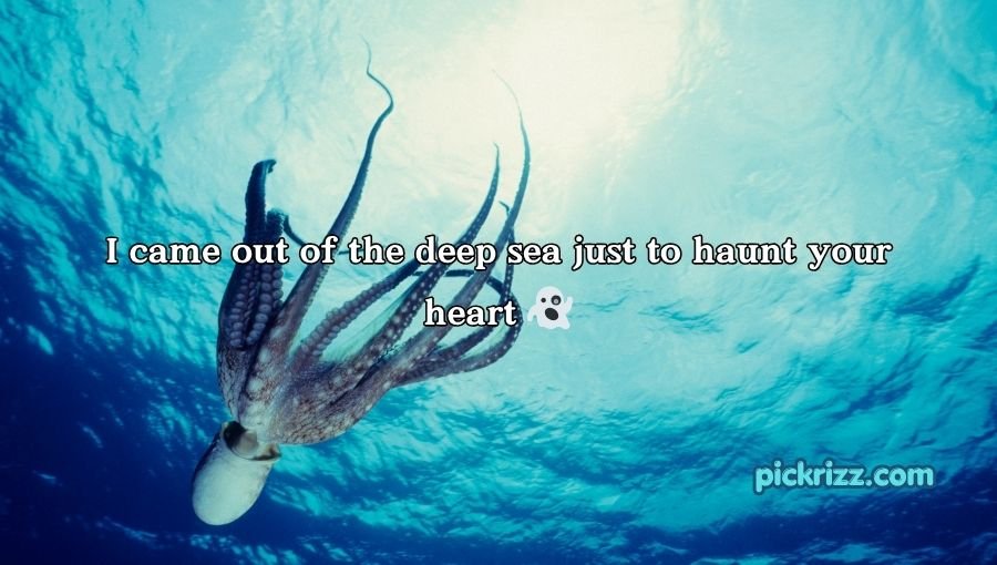 Octopus Pickup Lines
