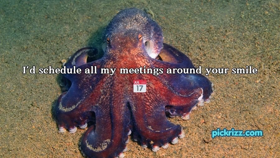 Octopus Pickup Lines