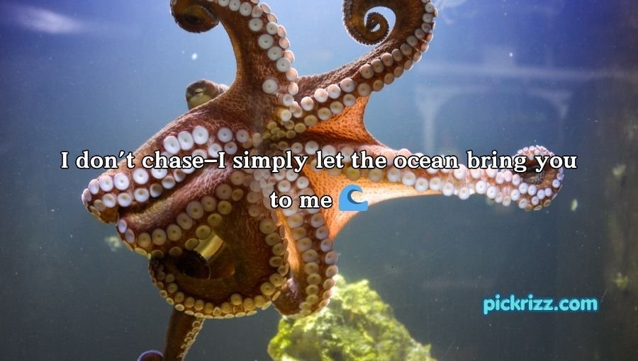 Octopus Pickup Lines