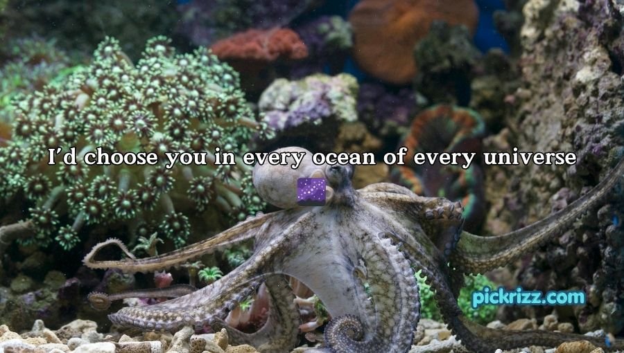 Octopus Pickup Lines