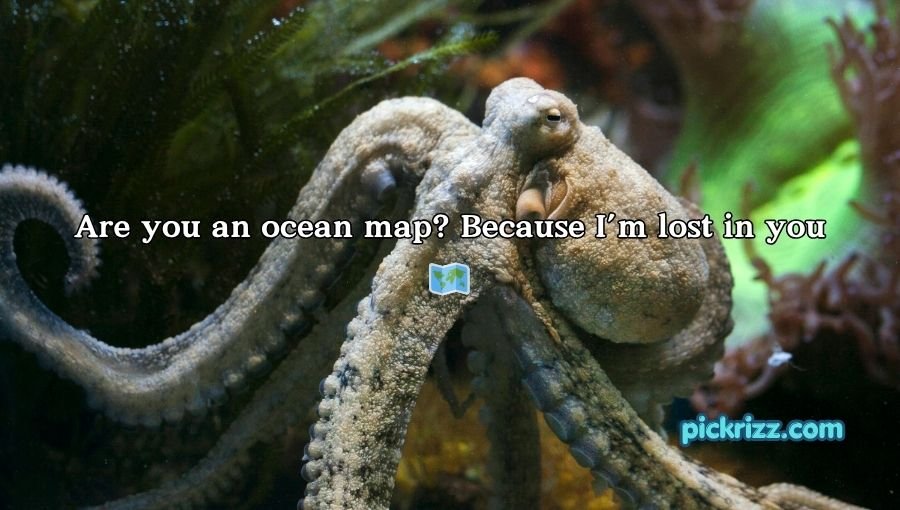 Octopus Pickup Lines