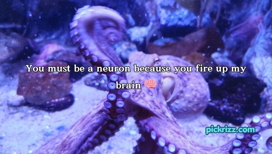 Octopus Pickup Lines