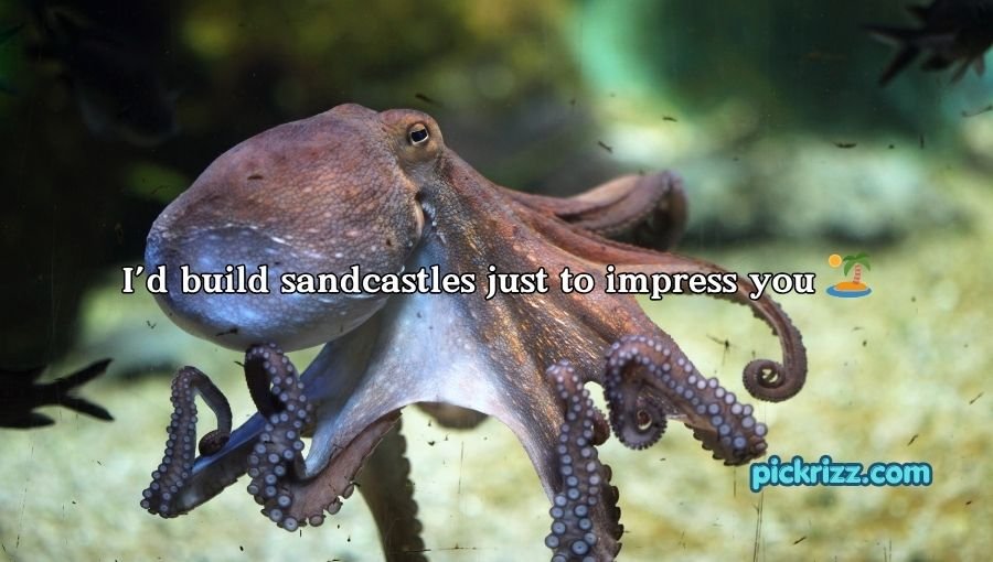 Octopus Pickup Lines