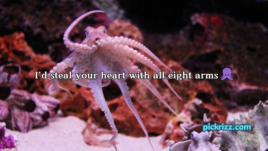 Octopus Pickup Lines